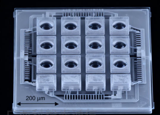 科毅MEMS微鏡陣列SEM照片 科毅MEMS微鏡陣列SEM照片