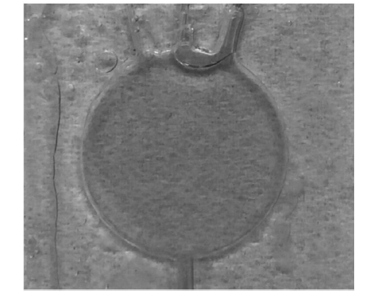 微流控光開關(guān)在實(shí)際應(yīng)用中的效果，包括不同流速下的遮光形態(tài)及透光/遮光對比  - 廣西科毅光通信